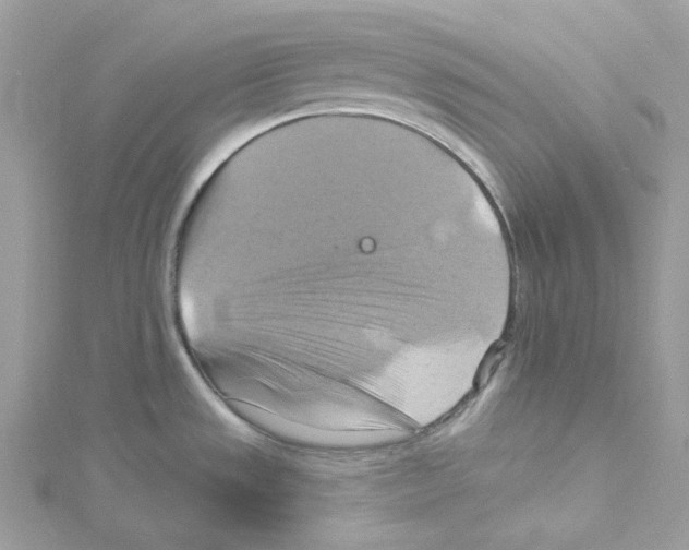 X0000114101533200911161048