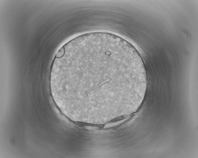 X0000114101534200911161048