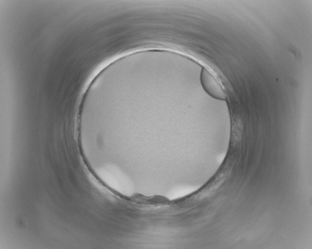 X0000114101535200911161048