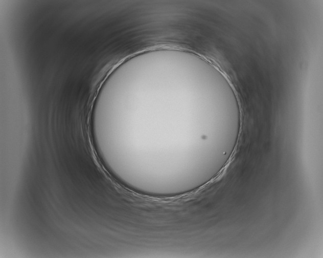 X0000114110001200910051248