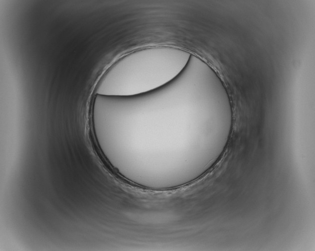 X0000114110002200910051248