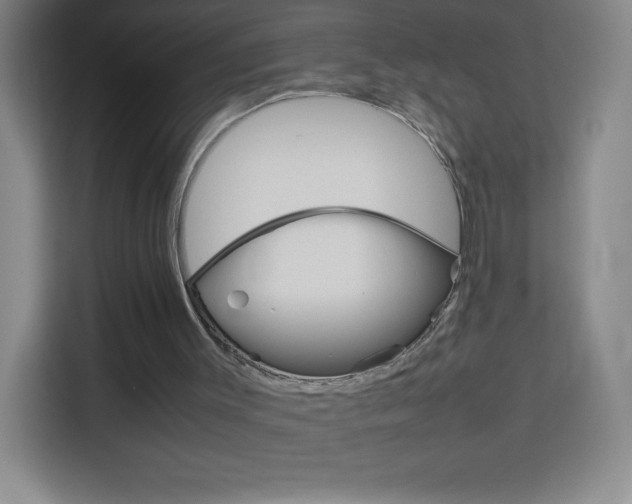 X0000114110003200910051248