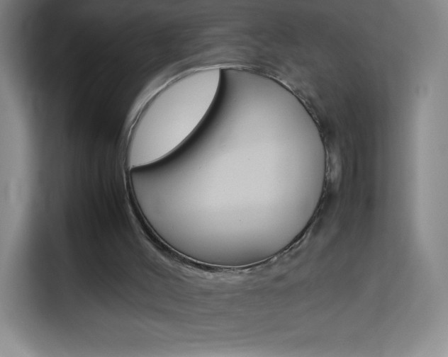 X0000114110004200910051248