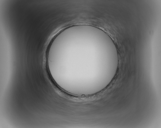 X0000114110005200910051248