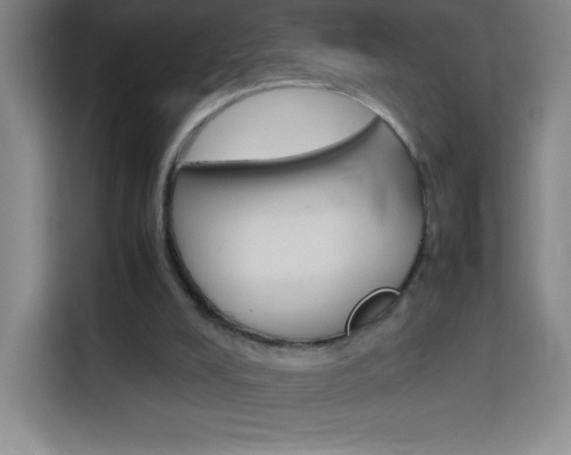 X0000114110008200910051248