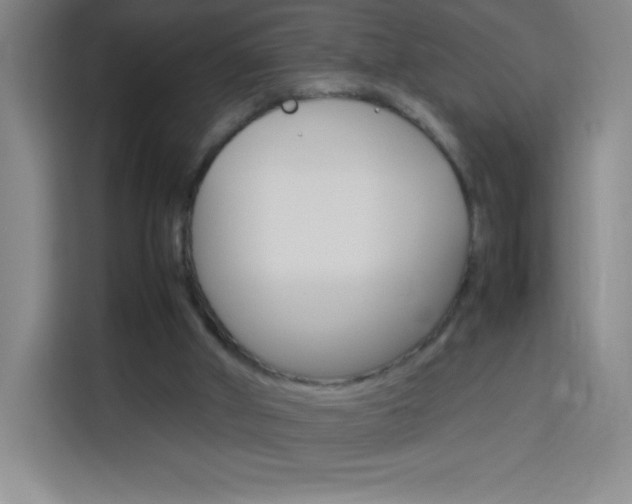 X0000114110010200910051248