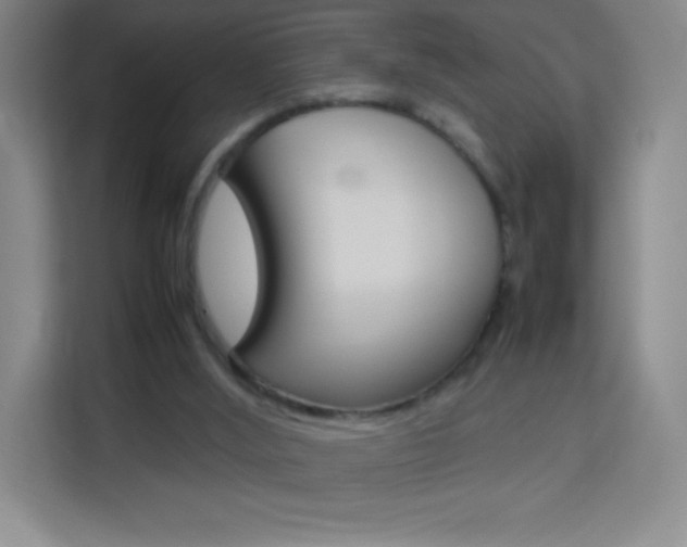 X0000114110012200910051248