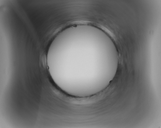 X0000114110013200910051248
