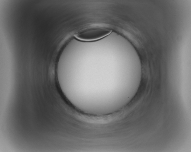 X0000114110015200910051248