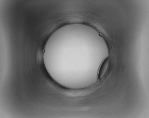 X0000114110021200910051248