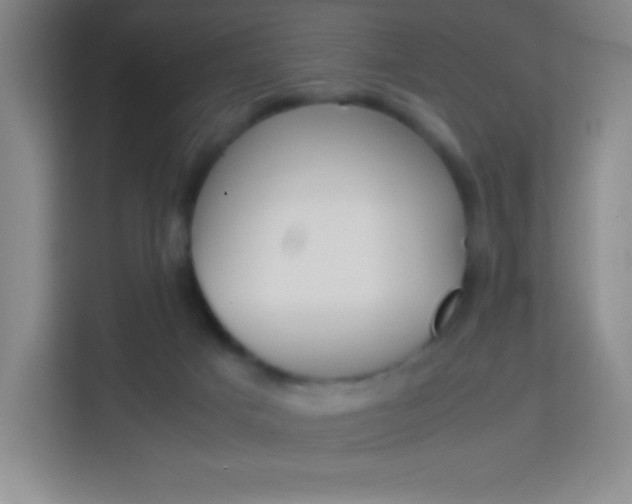 X0000114110025200910051248