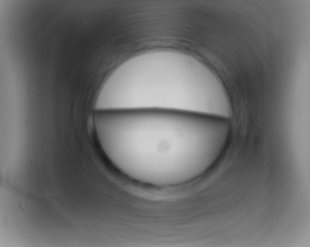 X0000114110028200910051248