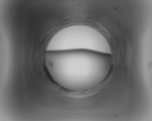 X0000114110029200910051248