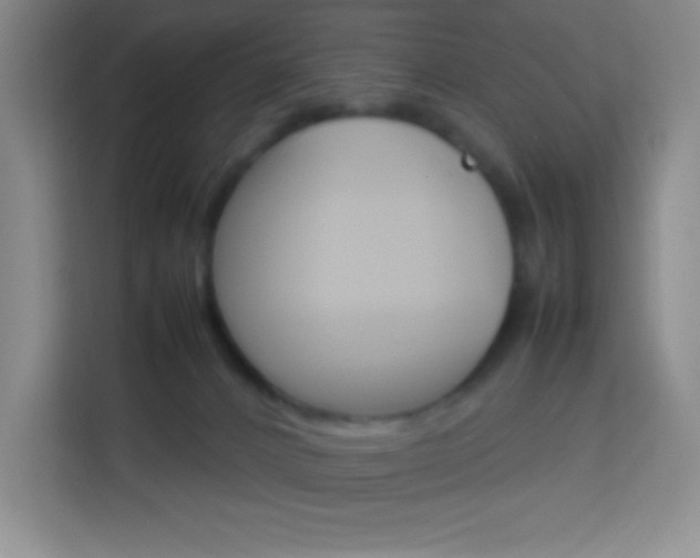 X0000114110032200910051247