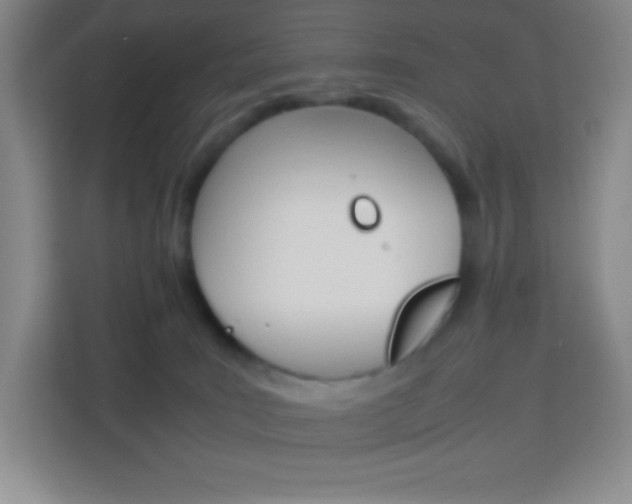 X0000114110035200910051247