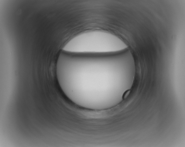 X0000114110036200910051247