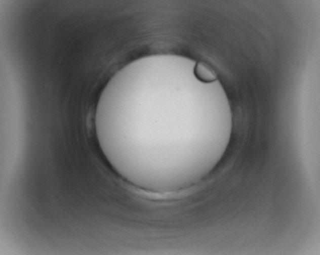 X0000114110038200910051247