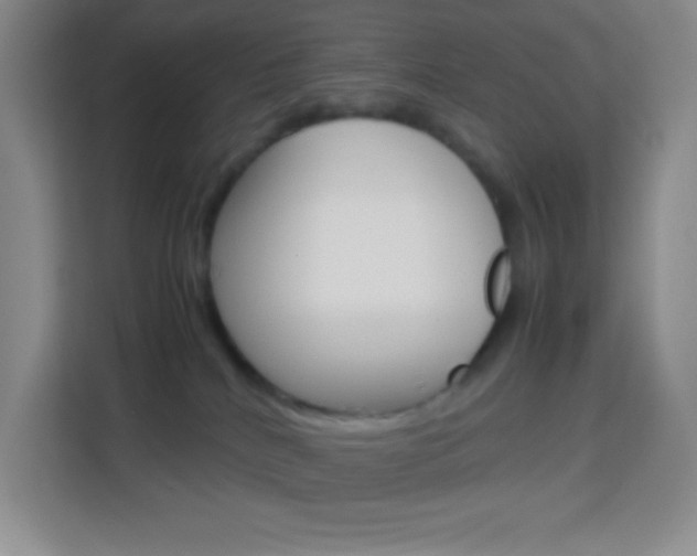 X0000114110040200910051247