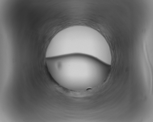 X0000114110041200910051247