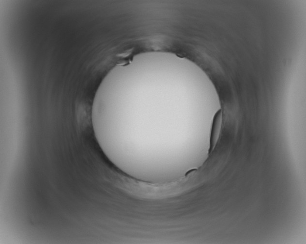 X0000114110043200910051247