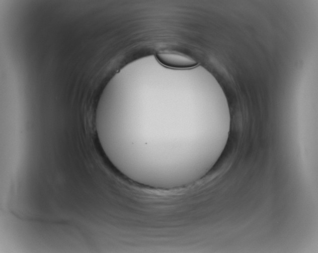 X0000114110044200910051247