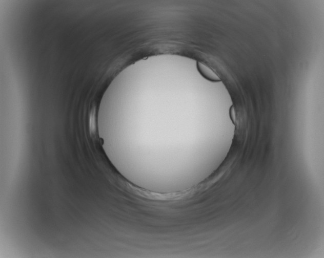 X0000114110046200910051247