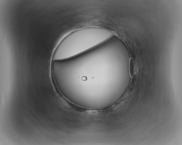 X0000114110052200910051247