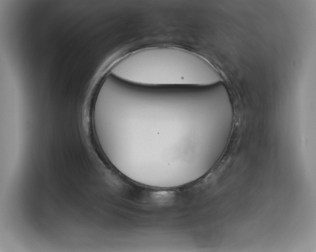 X0000114110053200910051247