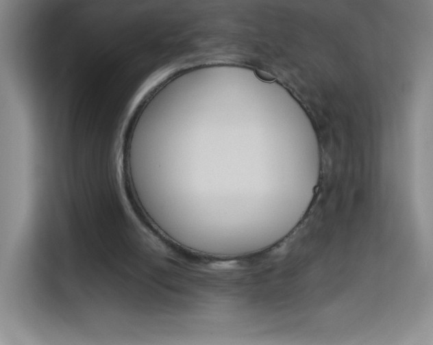 X0000114110054200910051247