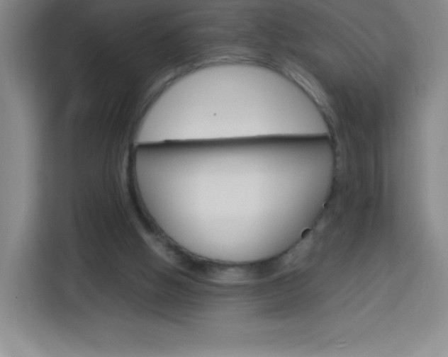 X0000114110058200910051247