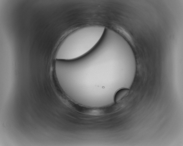 X0000114110059200910051247