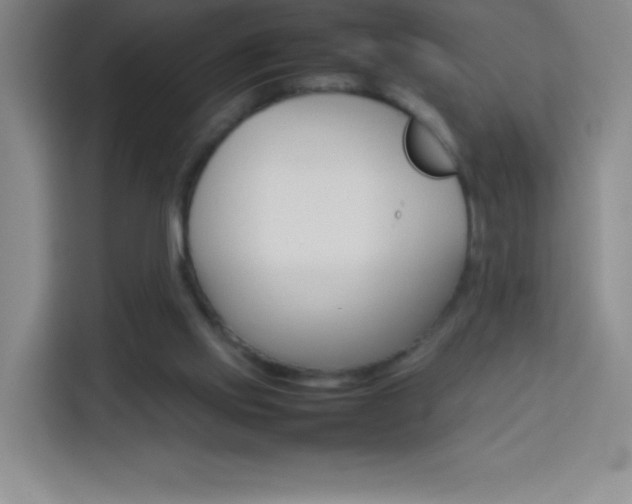 X0000114110061200910051247