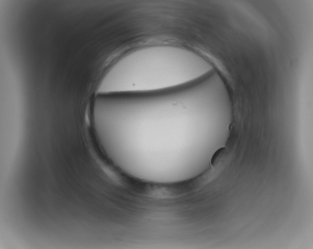 X0000114110062200910051247