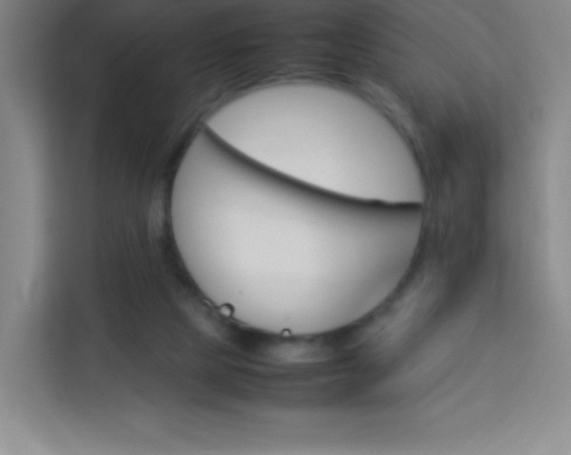 X0000114110065200910051247