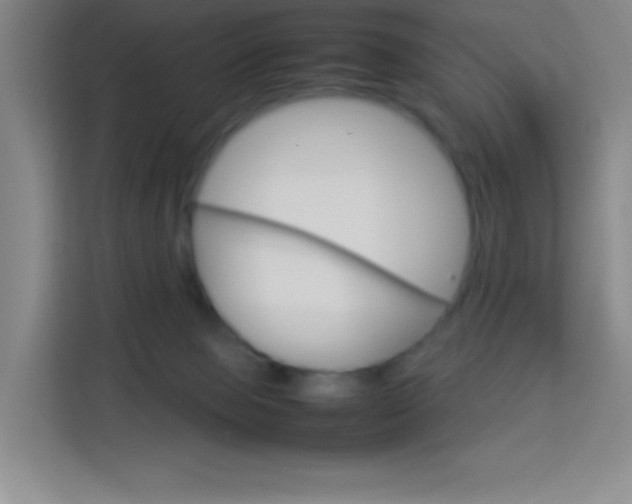 X0000114110077200910051247