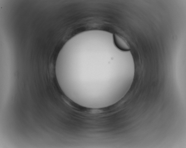 X0000114110087200910051247