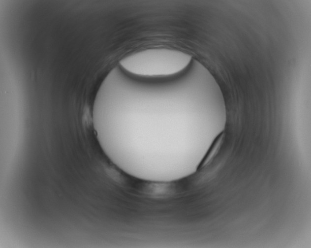 X0000114110089200910051247
