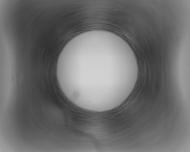 X0000114110092200910051247