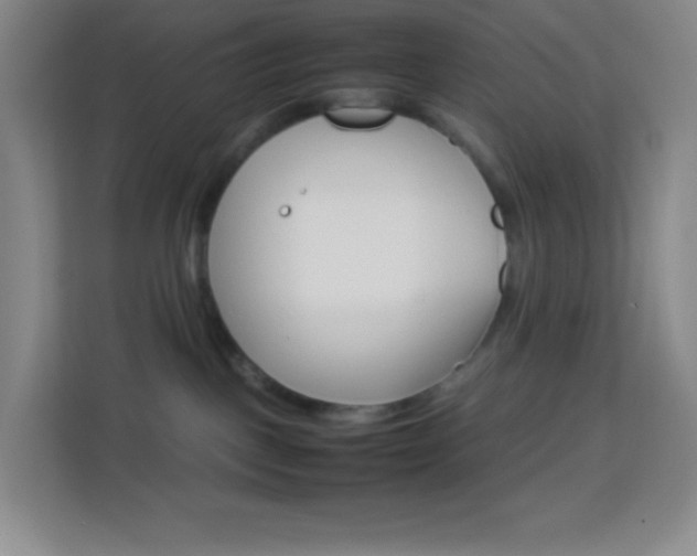 X0000114110093200910051247