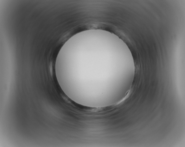 X0000114110094200910051247