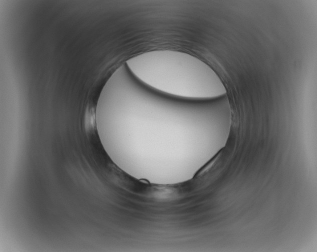 X0000114110095200910051247