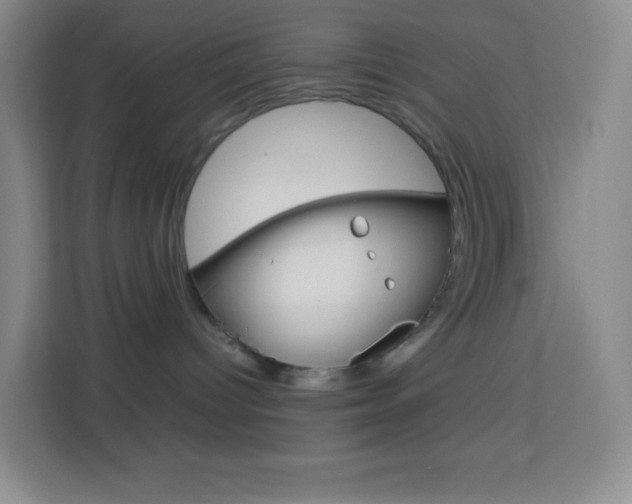 X0000114110096200910051247