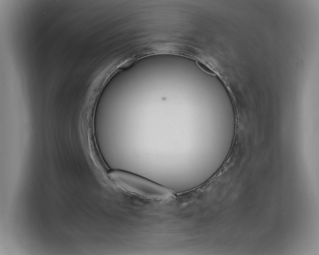 X0000114110097200910051247