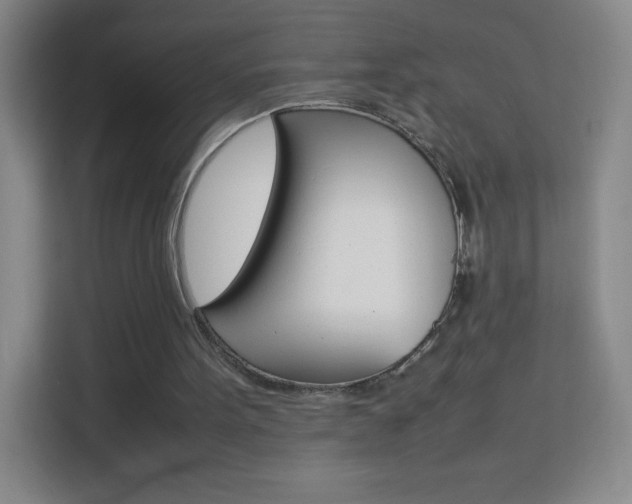 X0000114110099200910051247