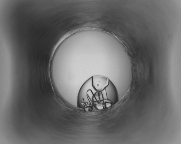 X0000114110100200910051247