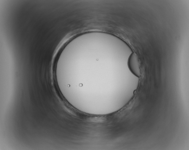 X0000114110102200910051247