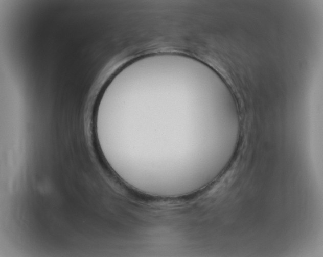 X0000114110103200910051247