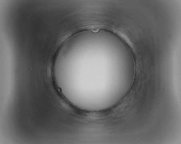 X0000114110105200910051247