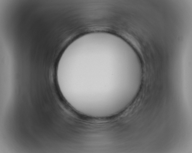 X0000114110107200910051247