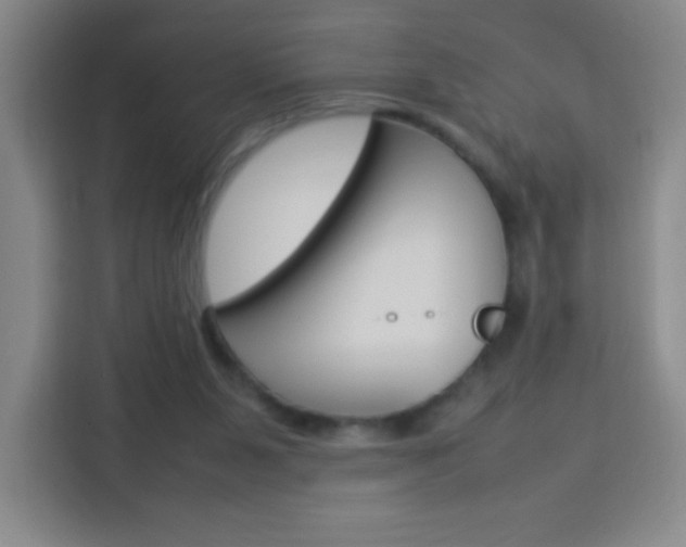 X0000114110111200910051246